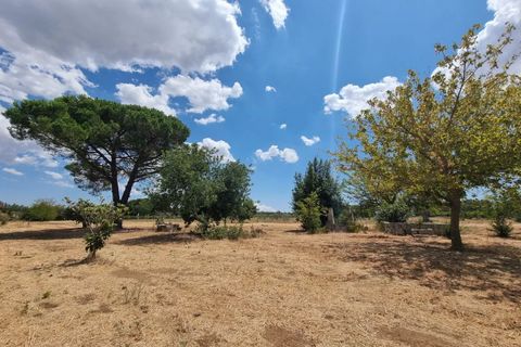 Villa i Oria, Brindisi, Oria - € 135.000 | Ref: V762 - foto 7