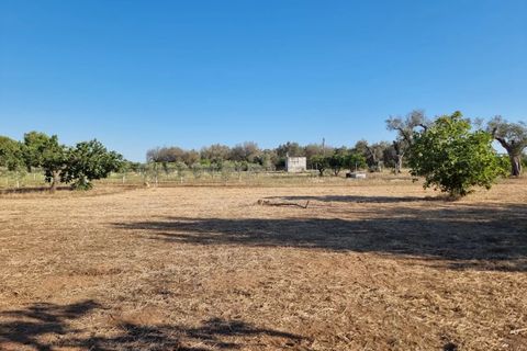 Villa i Oria, Brindisi, Oria - € 135.000 | Ref: V762 - foto 8