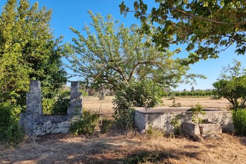 Villa i Oria, Brindisi, Oria - € 135.000 | Ref: V762 - foto 10