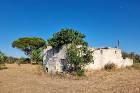 Villa i Oria, Brindisi, Oria - € 135.000 | Ref: V762 - foto 12