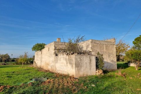 Villa i Oria, Brindisi, Oria - € 135.000 | Ref: V762 - foto 13