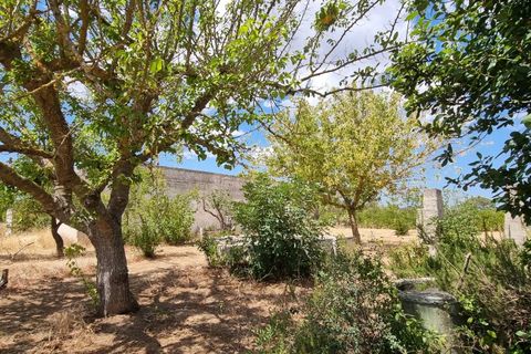 Villa i Oria, Brindisi, Oria - € 135.000 | Ref: V762 - foto 15