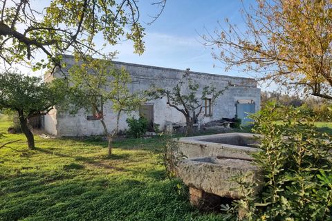 Villa i Oria, Brindisi, Oria - € 135.000 | Ref: V762 - foto 16