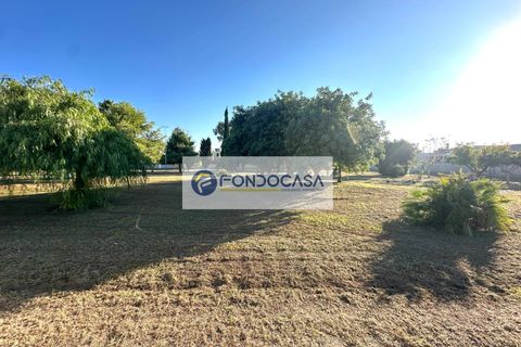 Rækkehus i Otranto, Lecce, Otranto - € 460.000 | Ref: 35 - foto 28