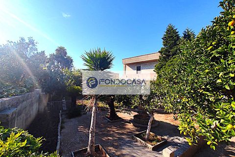 Villa a Zollino, Lecce, Zollino - € 220.000 | Ref: 38 - foto 36