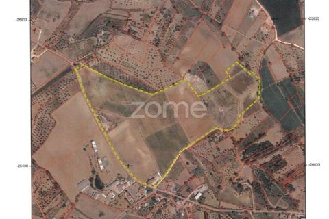 Villa i Torres Novas, Santarem, Torres Novas - € 780.000 | Ref: ZMPT577485 - foto 4
