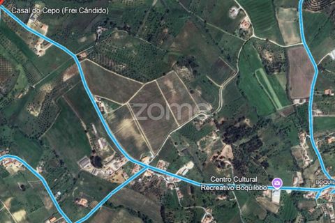 Villa i Torres Novas, Santarem, Torres Novas - € 780.000 | Ref: ZMPT577485 - foto 6