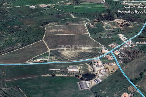 Villa i Torres Novas, Santarem, Torres Novas - € 780.000 | Ref: ZMPT577485 - foto 8