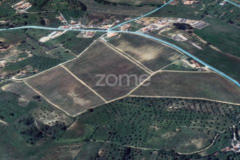 Villa i Torres Novas, Santarem, Torres Novas - € 780.000 | Ref: ZMPT577485 - foto 9