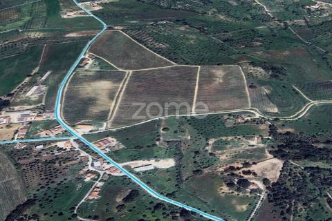 Villa i Torres Novas, Santarem, Torres Novas - € 780.000 | Ref: ZMPT577485 - foto 10