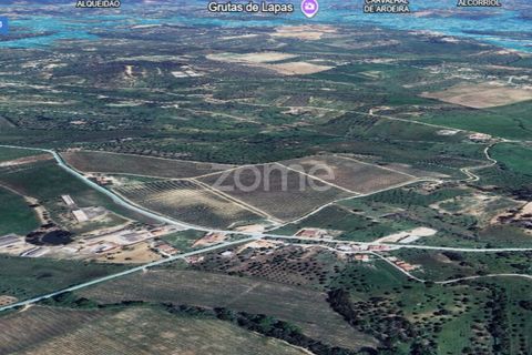 Villa i Torres Novas, Santarem, Torres Novas - € 780.000 | Ref: ZMPT577485 - foto 11