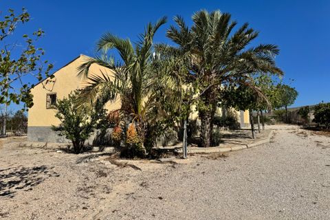 Landejendom i Cieza, Murcia, Cieza - € 254.000 | Ref: 2486 - foto 29