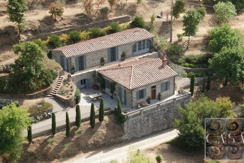 Villa en Cortona, Arezzo, Cortona - € 1.850.000 | Ref: v62362-x - photo 42