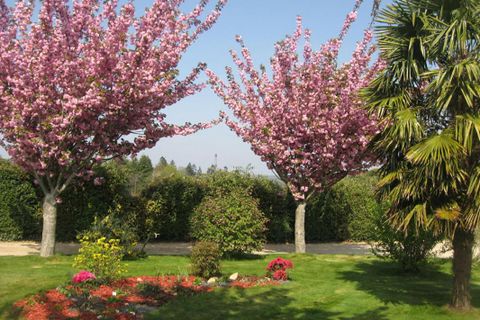 Villa i Cleguerec, Morbihan, Cleguerec - € 364.000 | Ref: 423843ALGA - foto 3