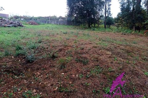 Helårsgrund i Valenca, Viana do Castelo, Valenca - € 40.000 | Ref: 79/2025 - foto 3