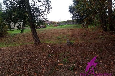 Helårsgrund i Valenca, Viana do Castelo, Valenca - € 40.000 | Ref: 79/2025 - foto 4