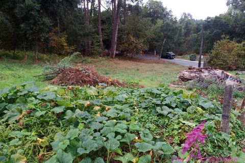 Helårsgrund i Valenca, Viana do Castelo, Valenca - € 40.000 | Ref: 79/2025 - foto 9
