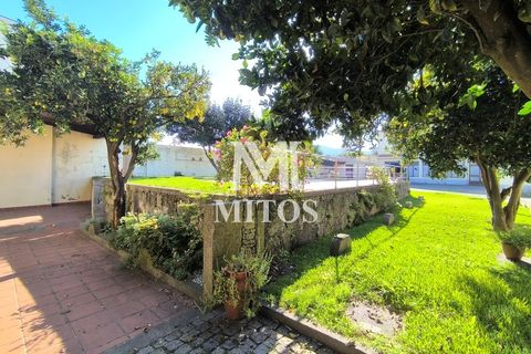 Villa i Viana do Castelo, Viana do Castelo, Viana do Castelo - € 550.000 | Ref: D389 - foto 23