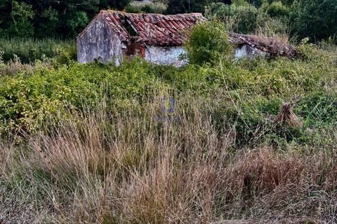 Villa a A Dos Negros, Leiria, A Dos Negros - € 38.000 | Ref: CAL-216958 - foto 2