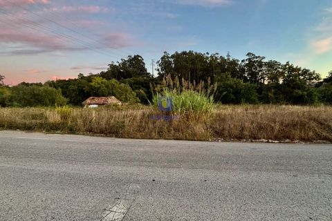 Villa a A Dos Negros, Leiria, A Dos Negros - € 38.000 | Ref: CAL-216958 - foto 4