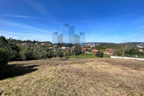 Helårsgrund i Coimbra, Coimbra, Coimbra - € 65.000 | Ref: TER_923 - foto 4