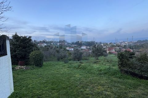 Helårsgrund i Coimbra, Coimbra, Coimbra - € 65.000 | Ref: TER_923 - foto 5