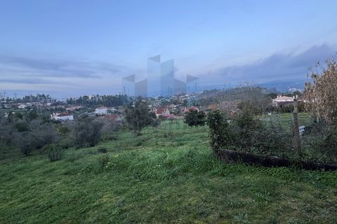 Helårsgrund i Coimbra, Coimbra, Coimbra - € 65.000 | Ref: TER_923 - foto 6