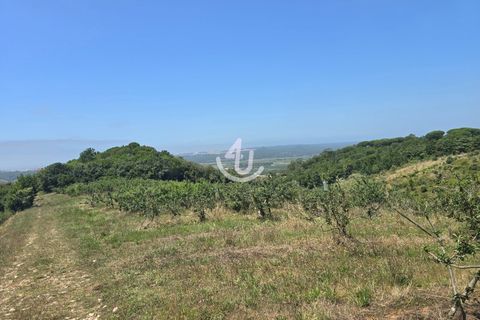 Helårsgrund i Alcobaca, Leiria, Alcobaca - € 325.000 | Ref: S4U120-V227 - foto 1