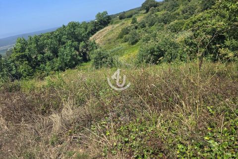Helårsgrund i Alcobaca, Leiria, Alcobaca - € 325.000 | Ref: S4U120-V227 - foto 5