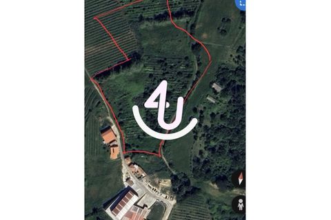 Helårsgrund i Alcobaca, Leiria, Alcobaca - € 325.000 | Ref: S4U120-V227 - foto 6