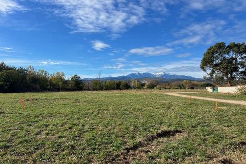 Terra a Thuir, Pyrenees-Orientales, Thuir - € 55.500 | Ref: 66-THUIR-ESPTR2 - foto 2