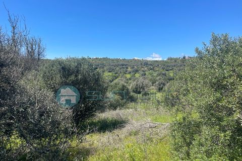 Tomt i Luz, Faro, Luz - € 995 000 | Ref: T1711 - foto 15