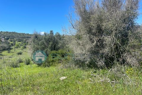Tomt i Luz, Faro, Luz - € 995 000 | Ref: T1711 - foto 19
