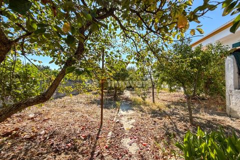 Villa i Entroncamento, Santarem, Entroncamento - € 220.000 | Ref: 01744-25 - foto 35