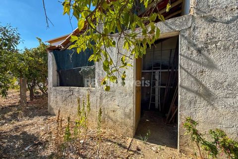 Villa i Entroncamento, Santarem, Entroncamento - € 220.000 | Ref: 01744-25 - foto 36