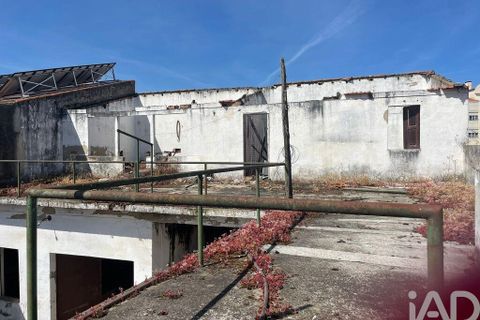 Rækkehus i Almeirim, Santarem, Almeirim - € 258.300 | Ref: 145418 - foto 13