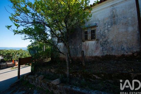 Byhus i Lousa, Coimbra, Lousa - € 75.000 | Ref: 151252 - foto 26