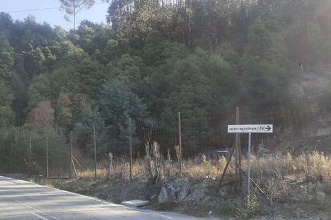 Helårsgrund i Penafiel, Porto, Penafiel - € 50.000 | Ref: 151332 - foto 1