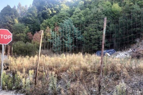 Helårsgrund i Penafiel, Porto, Penafiel - € 50.000 | Ref: 151332 - foto 2