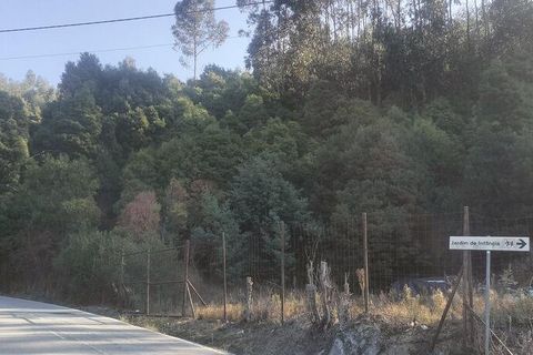 Helårsgrund i Penafiel, Porto, Penafiel - € 50.000 | Ref: 151332 - foto 3