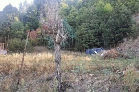 Helårsgrund i Penafiel, Porto, Penafiel - € 50.000 | Ref: 151332 - foto 4