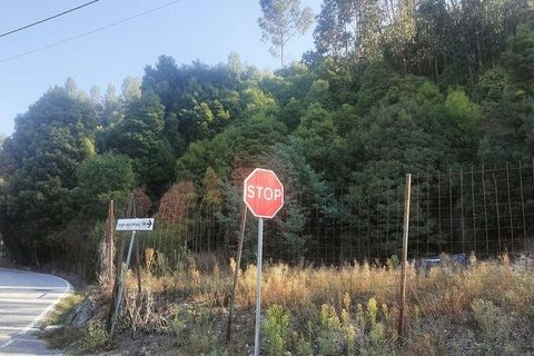 Helårsgrund i Penafiel, Porto, Penafiel - € 50.000 | Ref: 151332 - foto 5