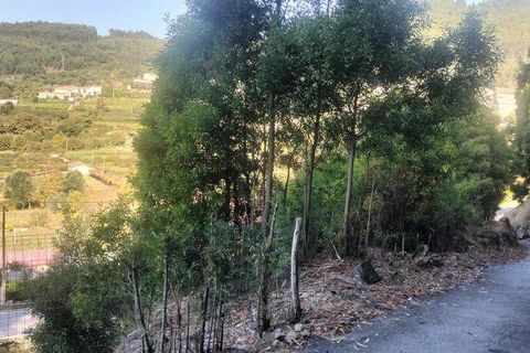 Helårsgrund i Penafiel, Porto, Penafiel - € 50.000 | Ref: 151332 - foto 7