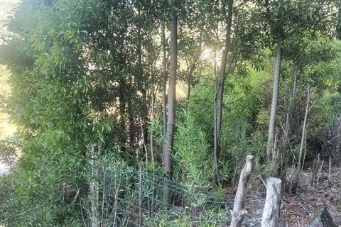 Helårsgrund i Penafiel, Porto, Penafiel - € 50.000 | Ref: 151332 - foto 8
