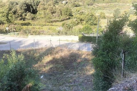 Helårsgrund i Penafiel, Porto, Penafiel - € 50.000 | Ref: 151332 - foto 9