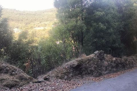 Helårsgrund i Penafiel, Porto, Penafiel - € 50.000 | Ref: 151332 - foto 13