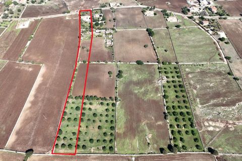 Landejendom i Modica, Ragusa, Modica - € 250.000 | Ref: MA 155 - foto 3