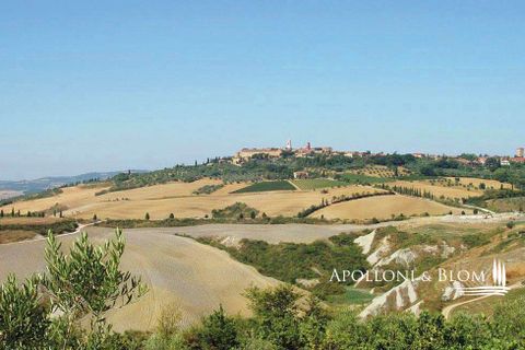Farm hus i Pienza, Siena, Pienza - € 1.900.000 | Ref: PNZ321-623986 - foto 5