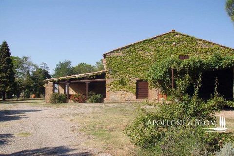 Farm hus i Pienza, Siena, Pienza - € 1.900.000 | Ref: PNZ321-623986 - foto 11