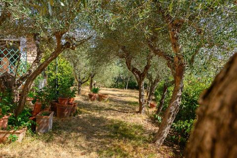 Byhus i Sinalunga, Siena, Sinalunga - € 800.000 | Ref: SIN2270-624110 - foto 20